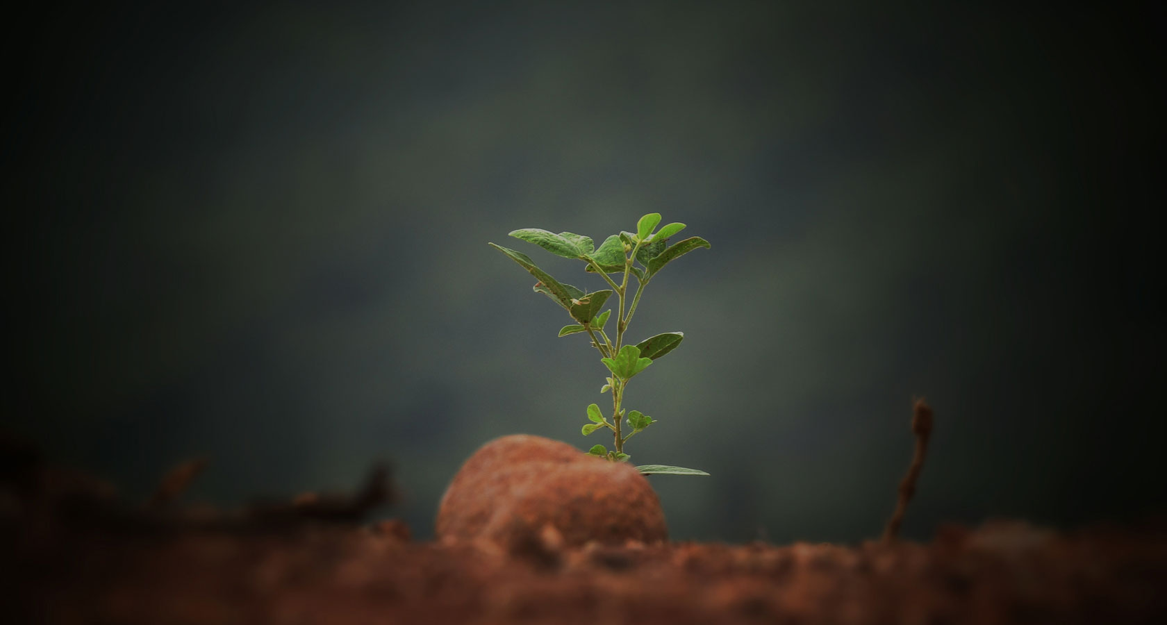 米乐|米乐·M6(中国大陆)官方网站